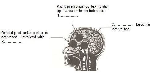 tips of ielts reading